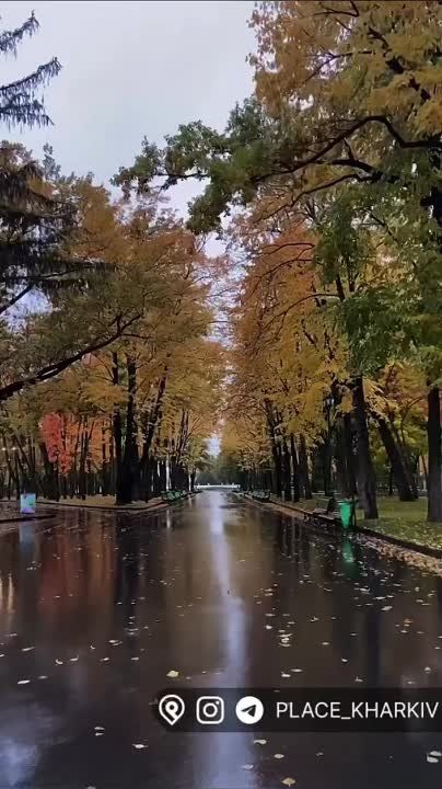 ������ ����, ������� ����� � ���� ������ �����