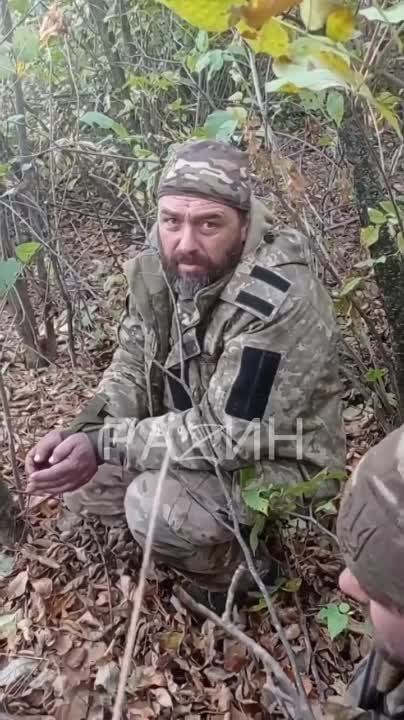 Пленные с Купянского направления