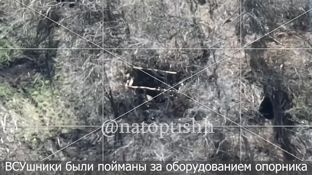 ���������� ������� ������� �������� ����������� ���� ������� ����� �� ��������� �����������