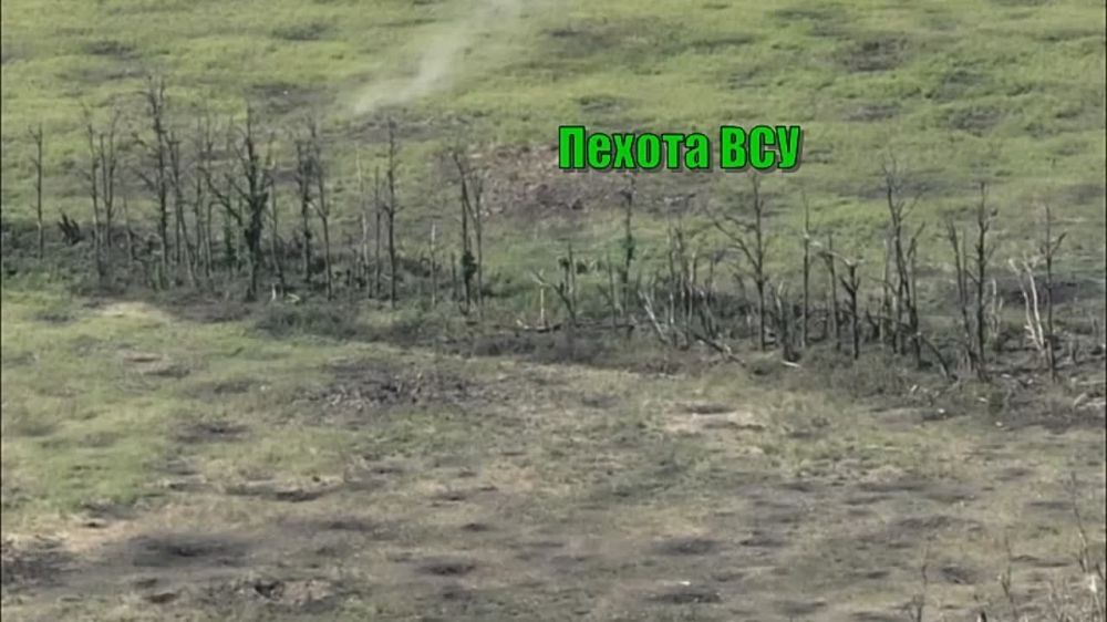 �������� 1 �������� ����� ������ ���������� ��������� ����������� ������ �����