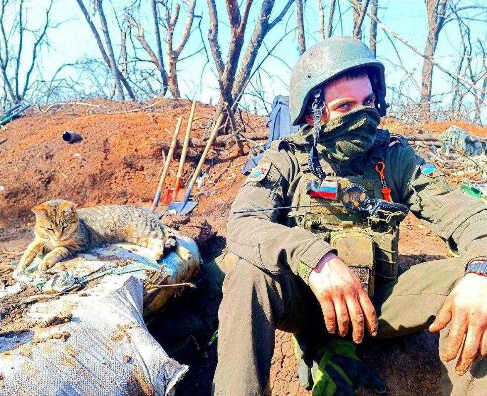 ������ ����! ������������� ���