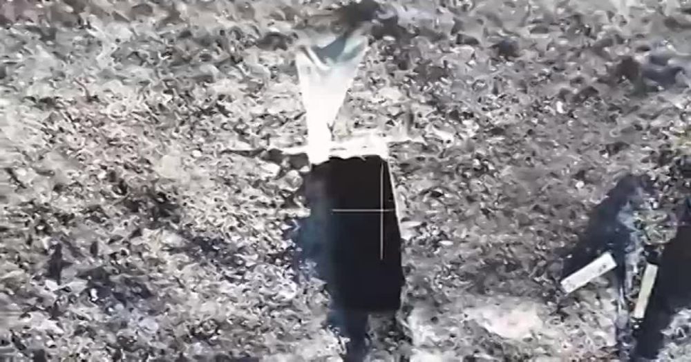 ������ ��� ����������: �������� - ���. �������� ���������� �������� - �������������� ������ ��� ���� ������������