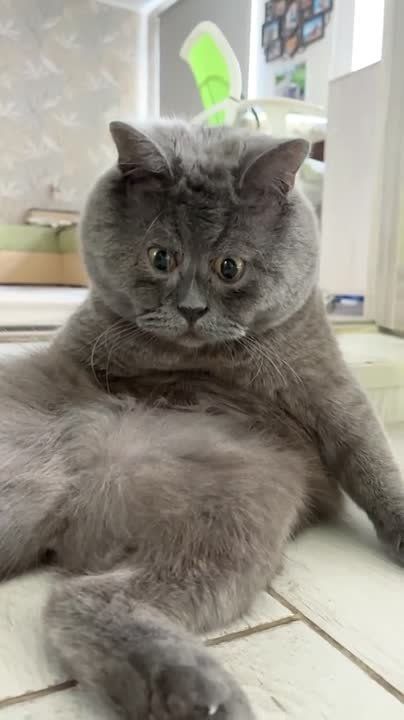 Всем отдыха. Доброй ночи! Погода в Харькове: