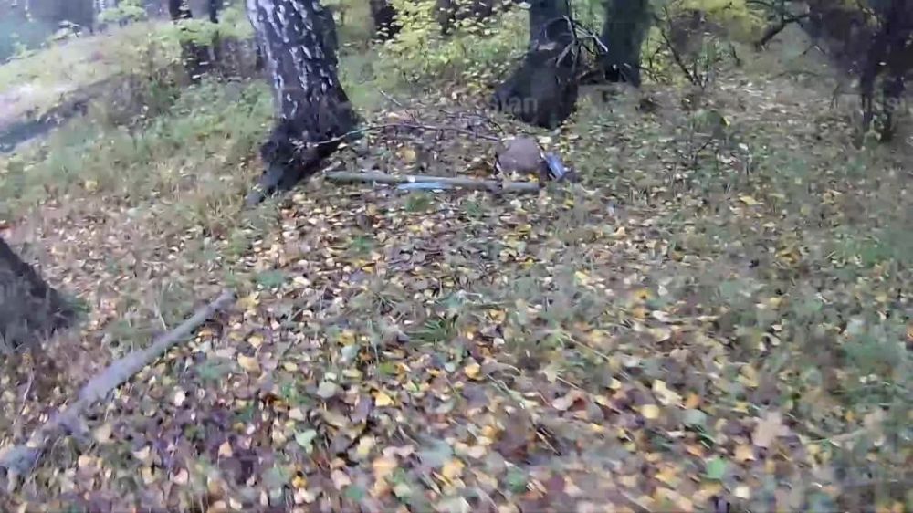 ОСПН "Рысь" устроила засаду на расчёт ПЗРК ВСУ. Бойцы отряда специального назначения «Рысь» показали место уничтожения диверсионной группы ВСУ на Сватовско-Кременском направлении