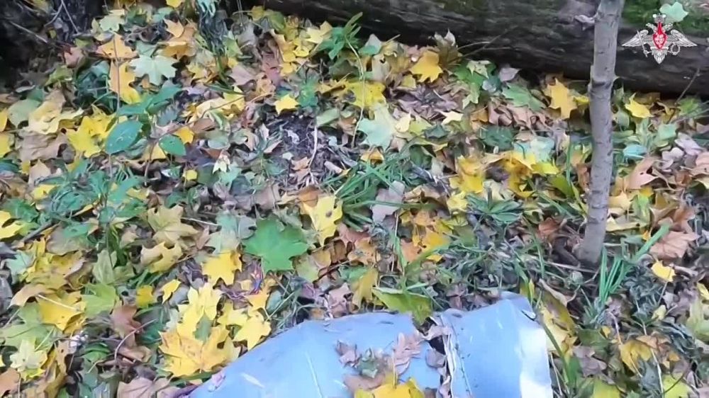 ������� ����� ��������� �������� ����������� �� �������������� � ����������� ����������� �� ����������� ������������ �� �����������������