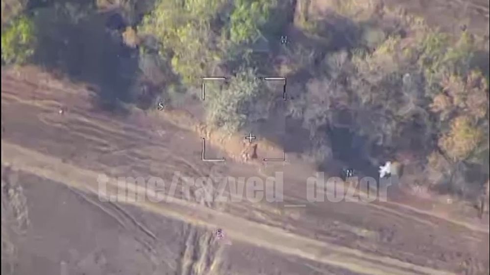 "������" ���������� �������� ���������� ���