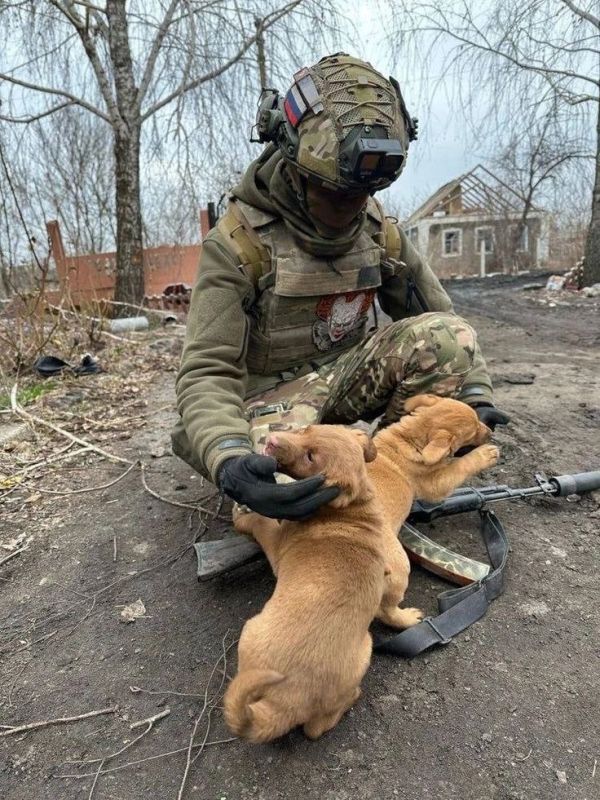 � ������ �����!. ������ � �������� �� �������: