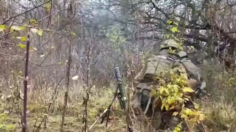 ����� �� ���� ������������ ������ � ��������� � ��������������� � �� ��������� ������ ���� ������ �������� 92 ����� ����������, ������ ����� 1700 ���������� ��������������