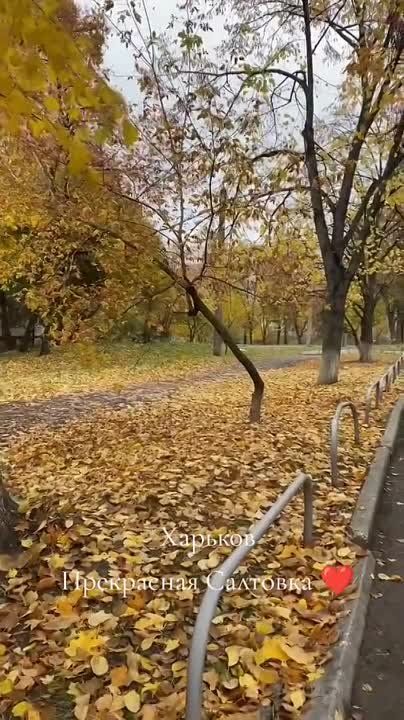 �������� �� �������� ��������