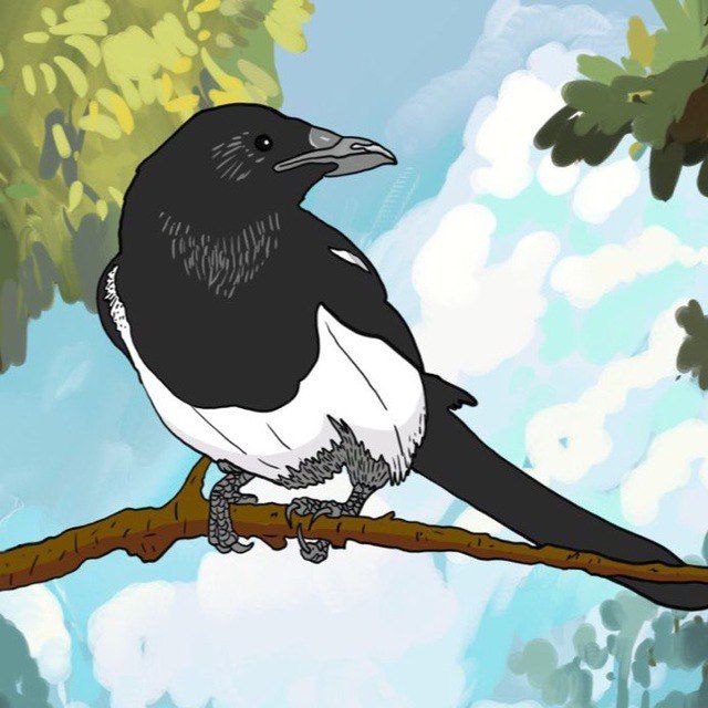 ����� "������-��������" ����� ���������� � ������ ��������� � ��������