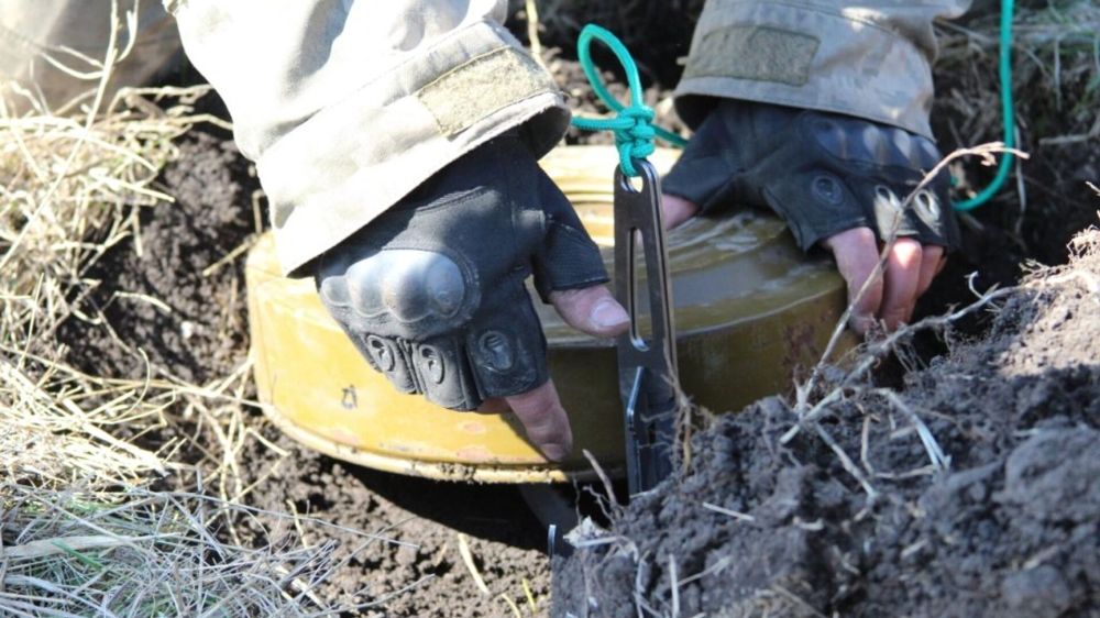 ���������, ���� � ������ �����. ������� ������� �������, ��� ������� ��������� � ����� �� �������