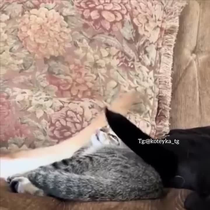 Какие антидепрессанты он пьет?)