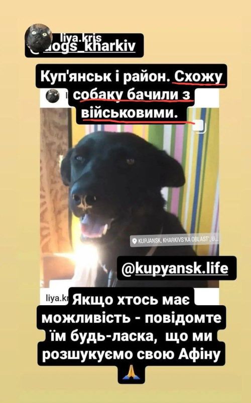 � ��������� ������ �������� �������� �������� ���������� ����� � ������ �����������