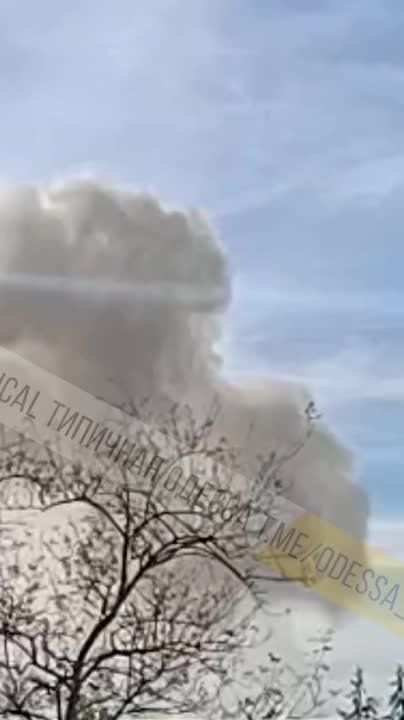 � ������ 4 �������� �������� ������� ���������