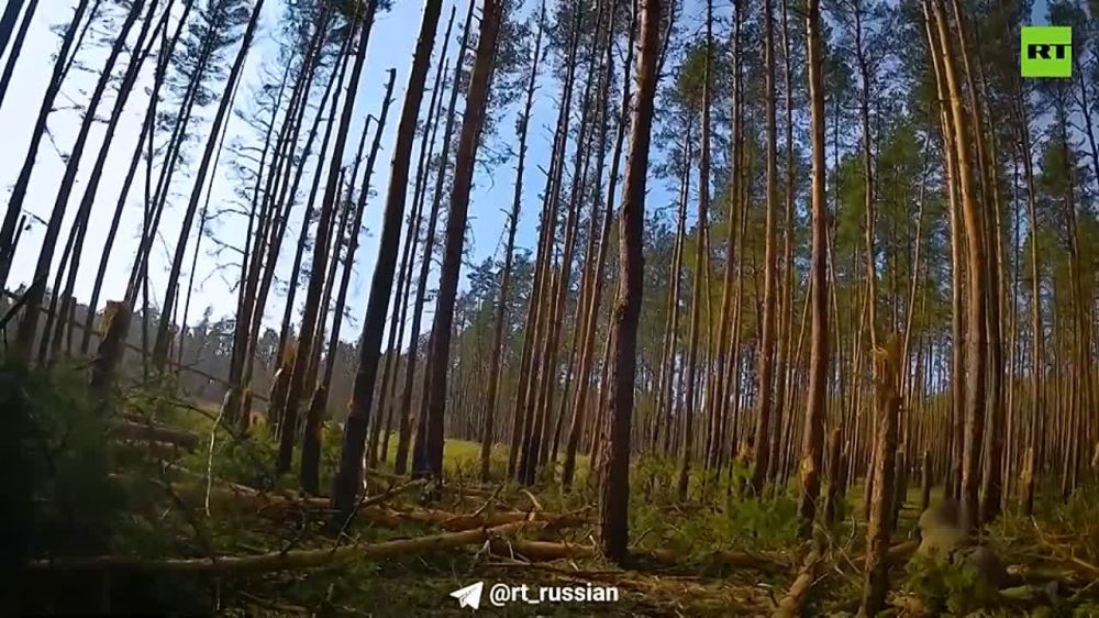 �������� ��� ���������� ������� ���� �� ������� ��� ��� ���������