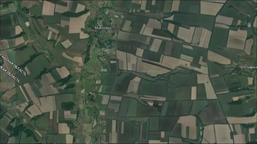 ���������� �����������: �������� 20 ����� �������� ����������� ������� ������ ������� �� �������� ��� � ������� ����������