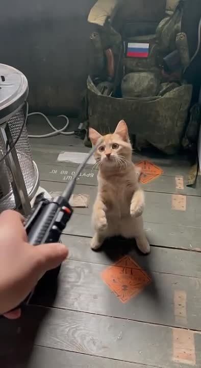 � ����� ����� � ���������� ���� ����� ����� ��������