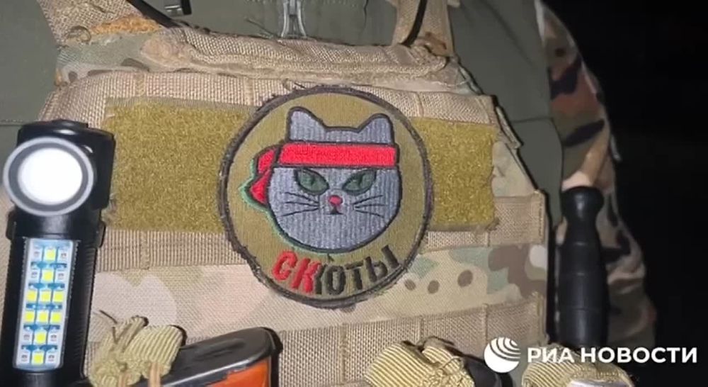 � ������� ���� ���� ���������� ������������ ������������ ������ ������ �������