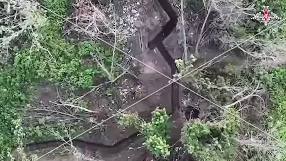 Разведывательный тандем. На Купянском направлении военнослужащие разведывательных подразделений группировки войск «Запад» работают в тесной связке с операторами БпЛА