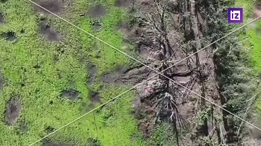 "�� ����������� ���������� �� ���� ������������": ���������� ����� ����� ��� � "������� �����" �� ��������� �����������