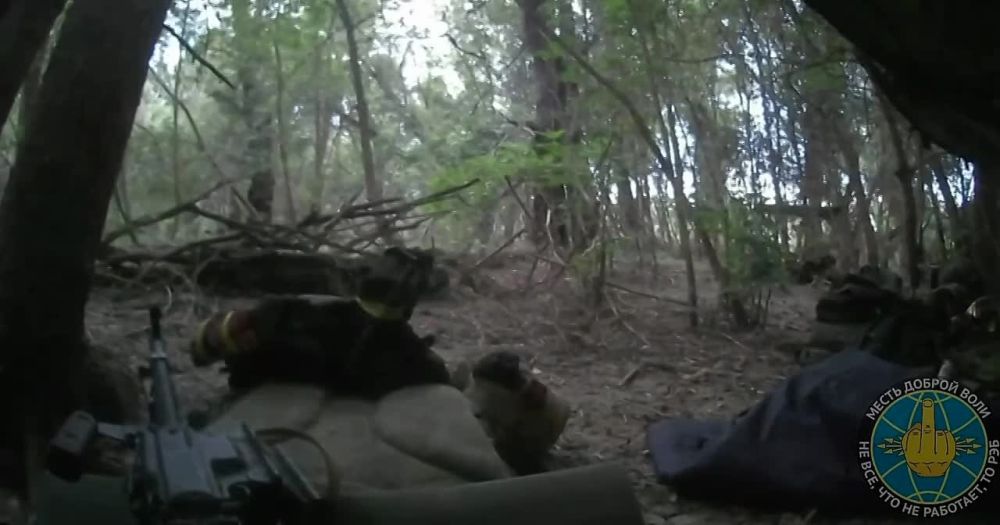 ����������� � ���� ������� ��������!