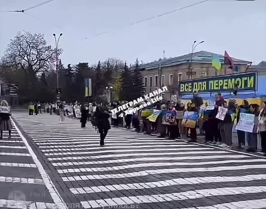 ����������, ��������, �����������..