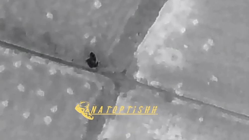 ��������� �����������. ������������ �������� ����������� ����� ���������� ����� ���������� ����������