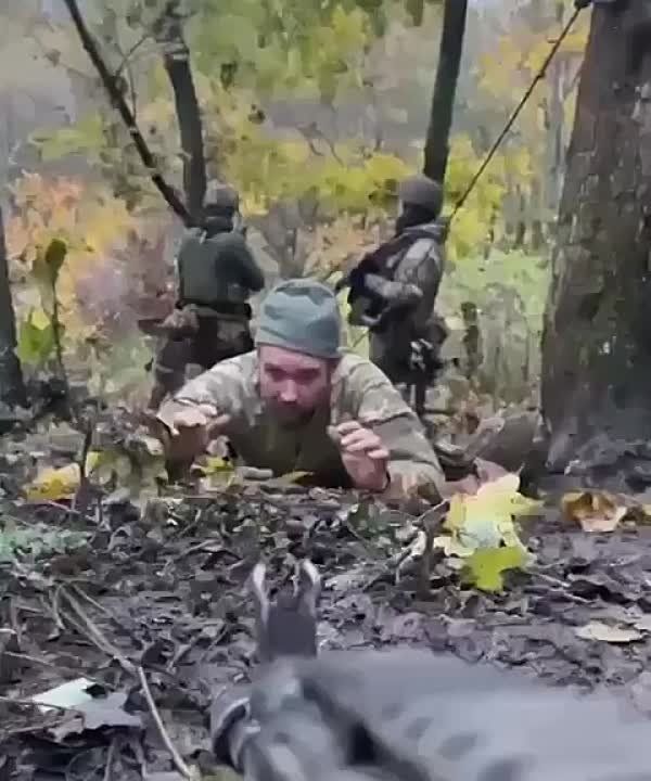 "� ������ ��?. � � ��������