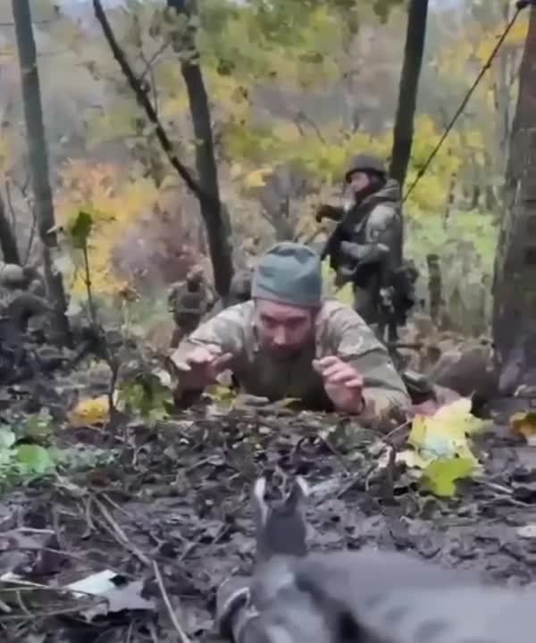 ��� ��������� ����� �� �� ����� � ���� ����� 10 ���������� ������� �� 54-� ������� ���