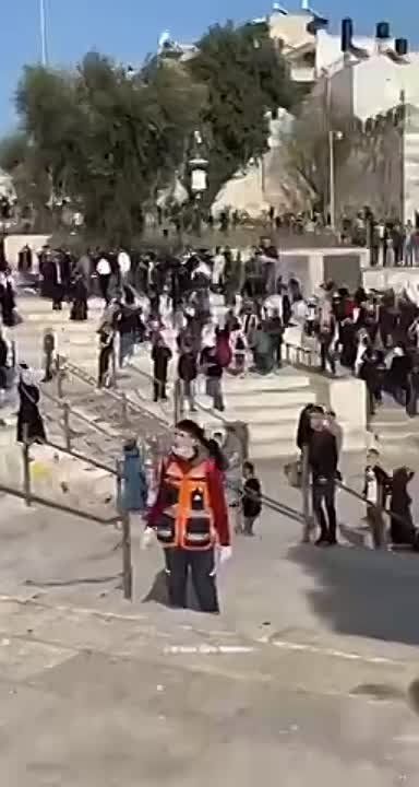 ����������� ������� ���������� "������������" �������� �� ������ ����������, ������� ������� �� ����������� ����� � ������ ���������� ������������ ������ �����������