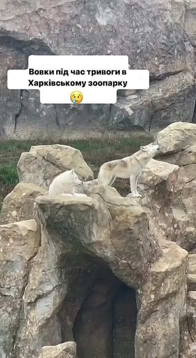 ����� � ����������� �������� ���� � ������ ��������� �������