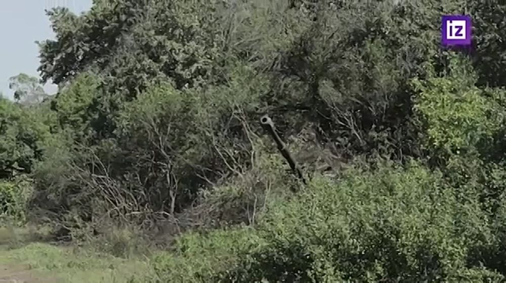 "���� ������ ������, � ������ � ��� ���� ������"