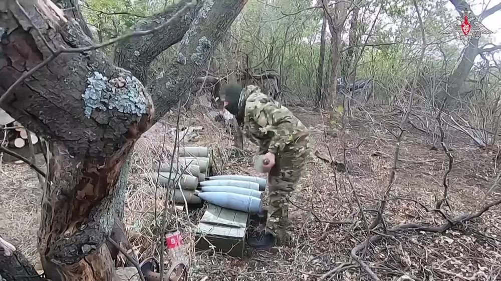 ������������ � ������ 24/7 ������ ���������� �� ��������� �����������