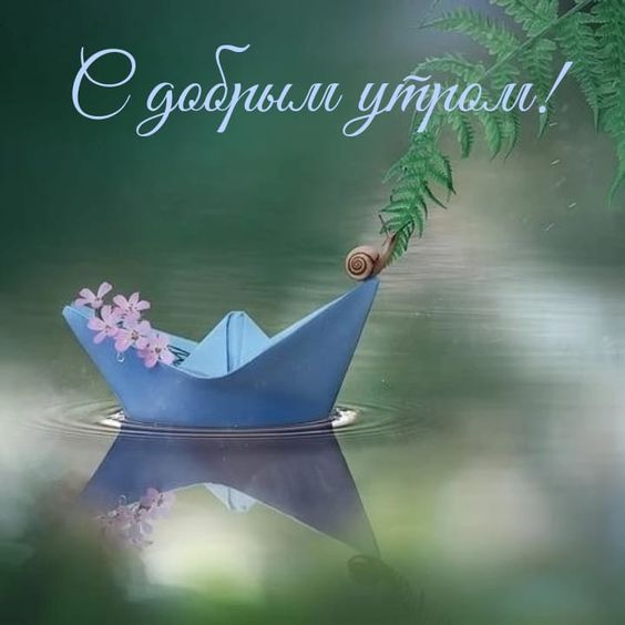 � ������ �����! ��������� ���!