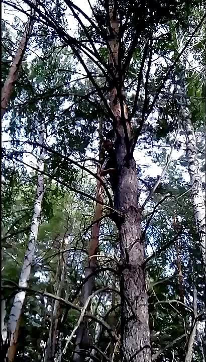 ������� �� ������, ����� � �����, ������ �� ��������..