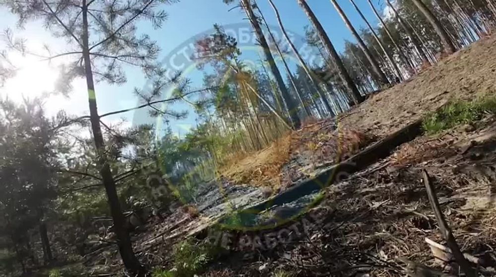 ������ �� ������, �������� ����� ����� �� �����: