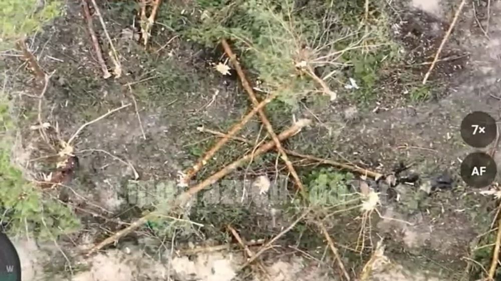 ��������� �����������... ��������� ����� ��������� �� ���� �������� �������, � ������������� ������� ��� ������� ��������, ����� 2-3 ������ �������� �������� ���� ��������� �������� � �����