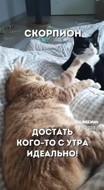 �������� ��������.���������?