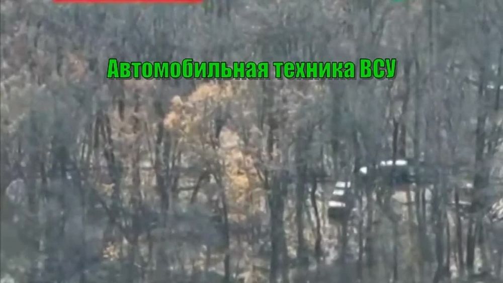 � ������ �.�. �������� (����������� ���.) ����������� �������� ������������� ��������� ������� ���������� �� ��������������� �������