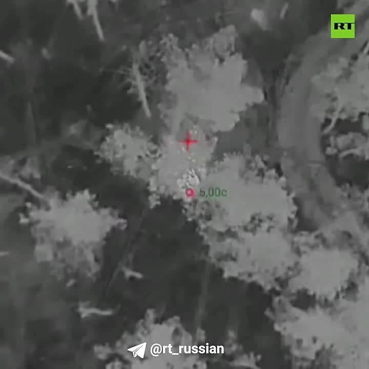 ���������� ���������� ���������� � ���������� ������ ���, ������� �������� ��������� ����� �� ��������� �����������