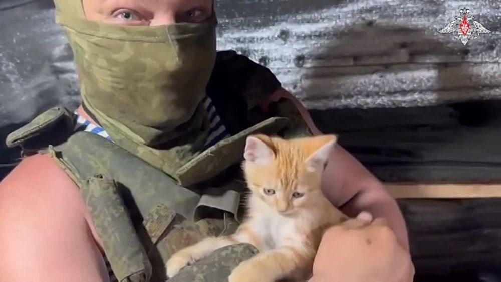 "- ��� �� ������������, ��� ����