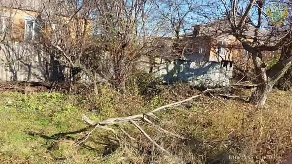 ���� ������� ����������� �������