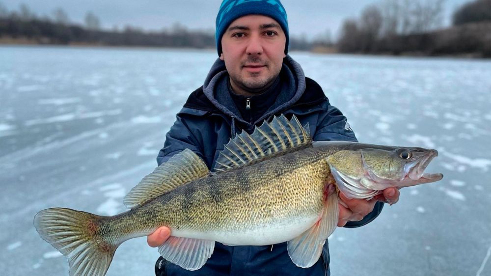 ������ ����� ������� ������ � ������������ � ������ ��-�� �����������