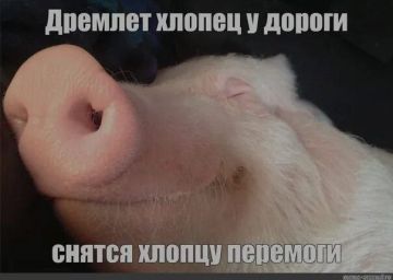     50%  ,     