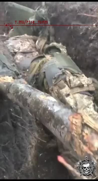 ����� ���������� ��������� ������ �������� ���������� �������� �� ��������� �����������