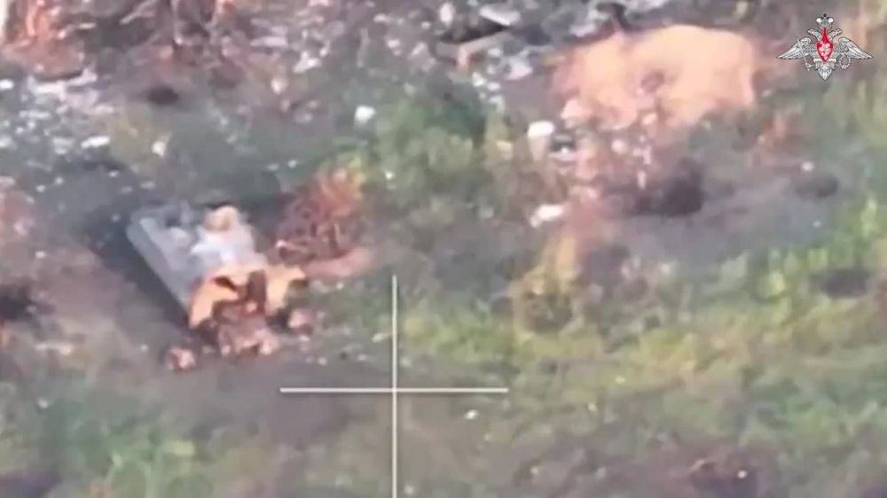 ��������� ���������� ��:. � ������ � 11 �� 17 ������ �.�. ������������ ������ ���������� ��������� �������� 24 ���������...