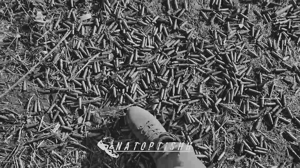 "Тяжело в учении, легко в бою"