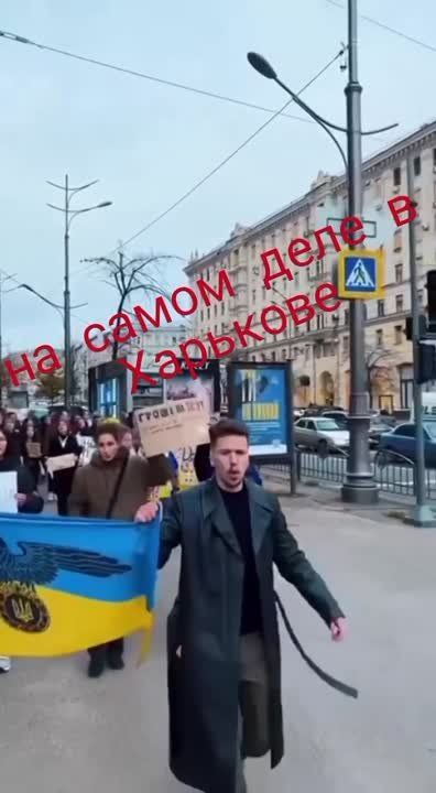 Нацисты разгуливают по Харькову