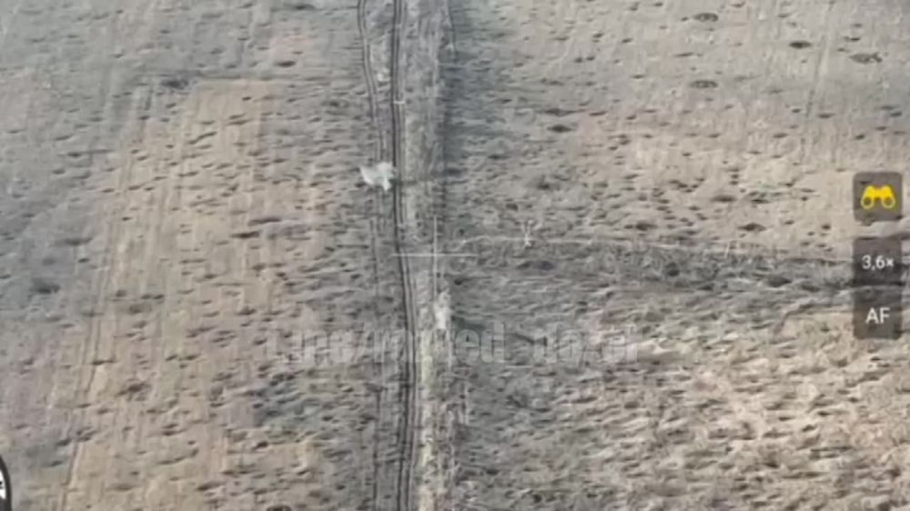 1 танковая армия уничтожает пехоту ВСУ под Купянском