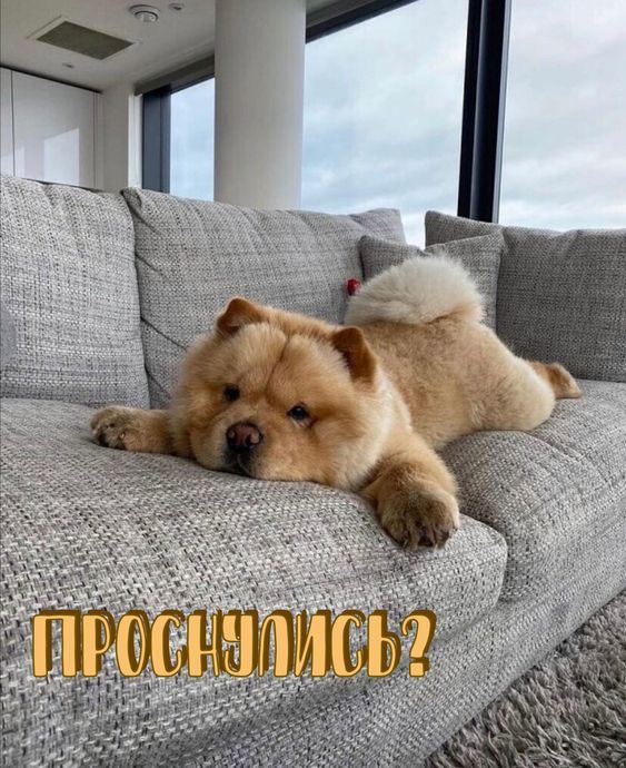 ���� ������� ����! ������ � �������� �� �������: